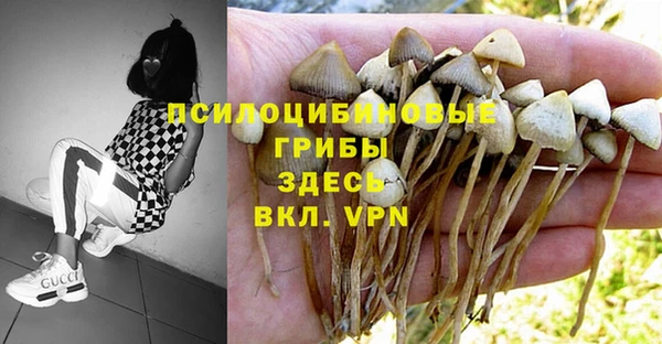 каннабис Абинск