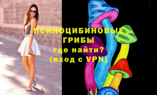 соль курить ск Абаза